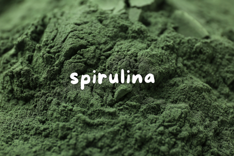 The Healing Power of Spirulina