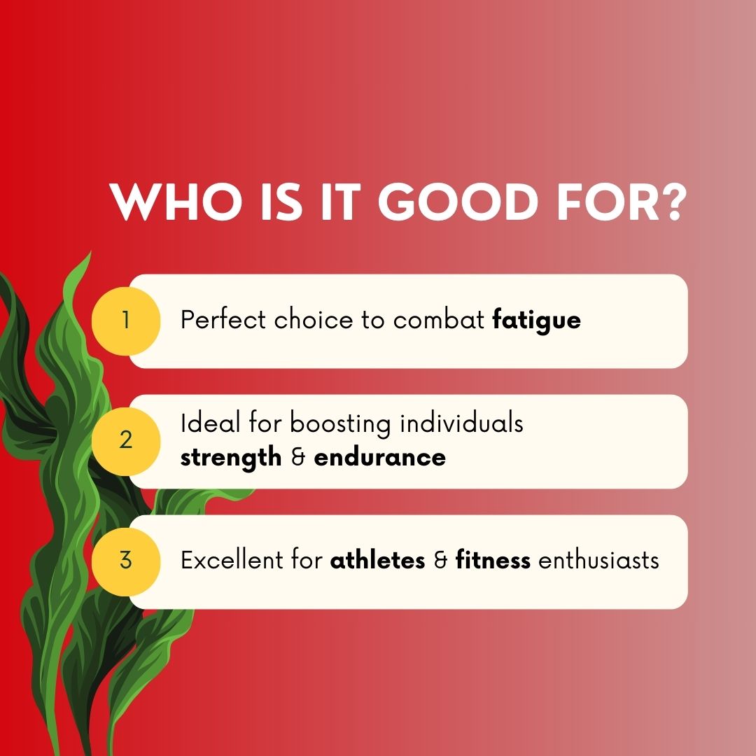 ZENKO Naturals - Spirulina (90 caps)